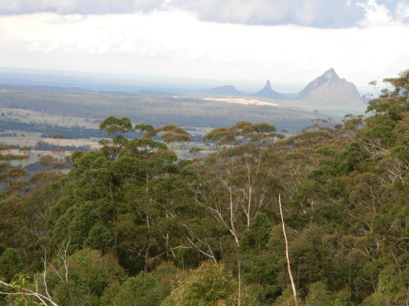 Bellthorpe QLD 4514