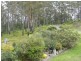 Bellthorpe QLD 4514