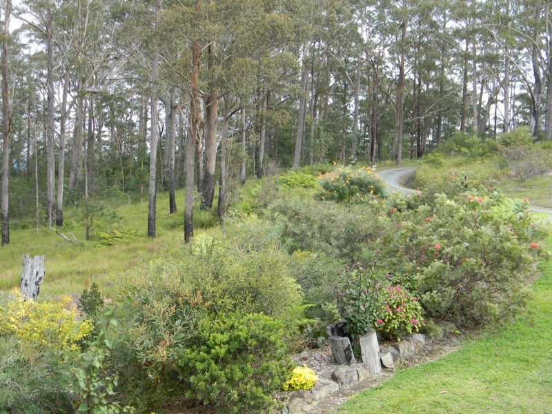 Bellthorpe QLD 4514