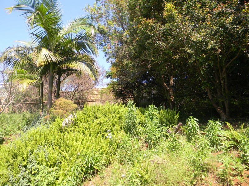 18 Hakea, Maleny QLD 4552