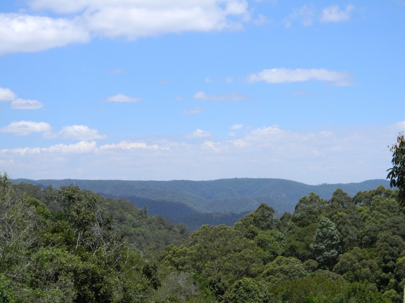 Maleny QLD 4552