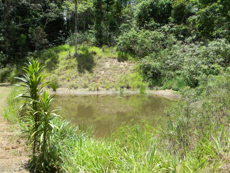 Maleny QLD 4552
