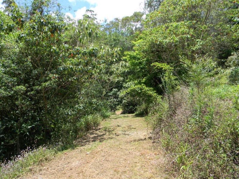 Maleny QLD 4552