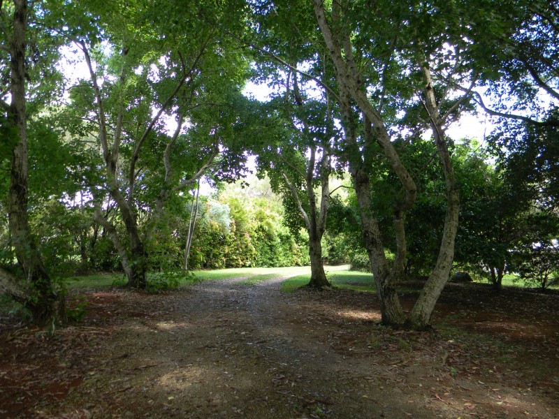 Maleny QLD 4552