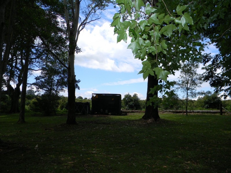 Maleny QLD 4552