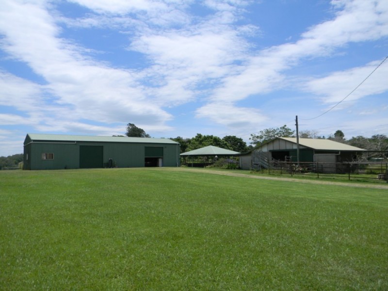 Maleny QLD 4552