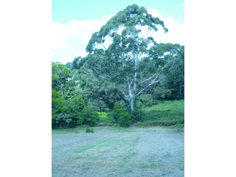 8 Ribbonwood, Maleny QLD 4552