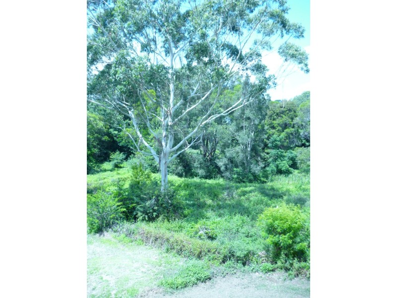 8 Ribbonwood, Maleny QLD 4552