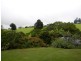 Maleny QLD 4552