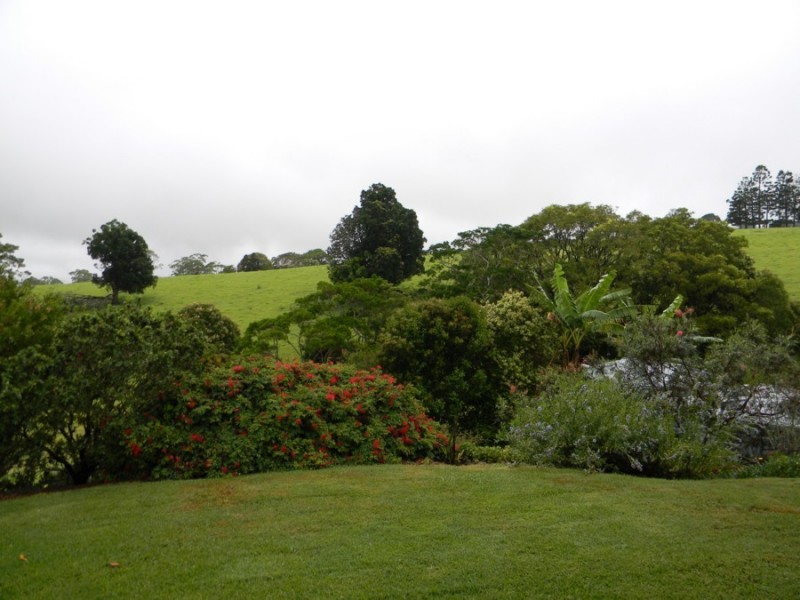 Maleny QLD 4552