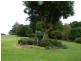 Maleny QLD 4552