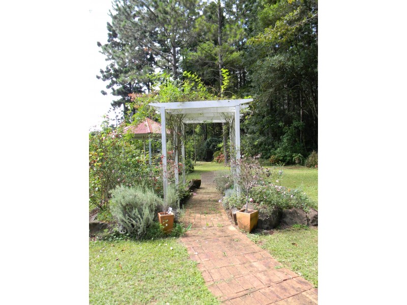 Maleny QLD 4552