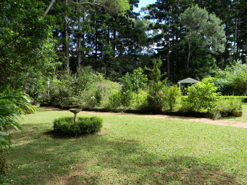 Maleny QLD 4552