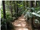 Maleny QLD 4552