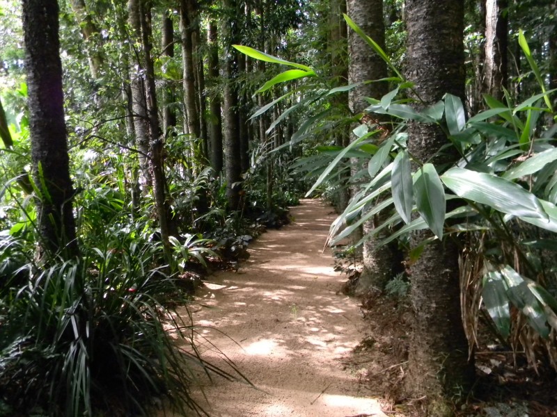 Maleny QLD 4552