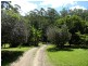 Maleny QLD 4552