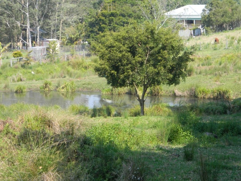 18 Sternberg Road, Witta QLD 4552