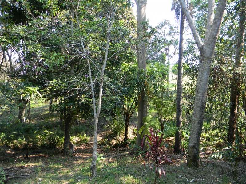 18 Sternberg Road, Witta QLD 4552