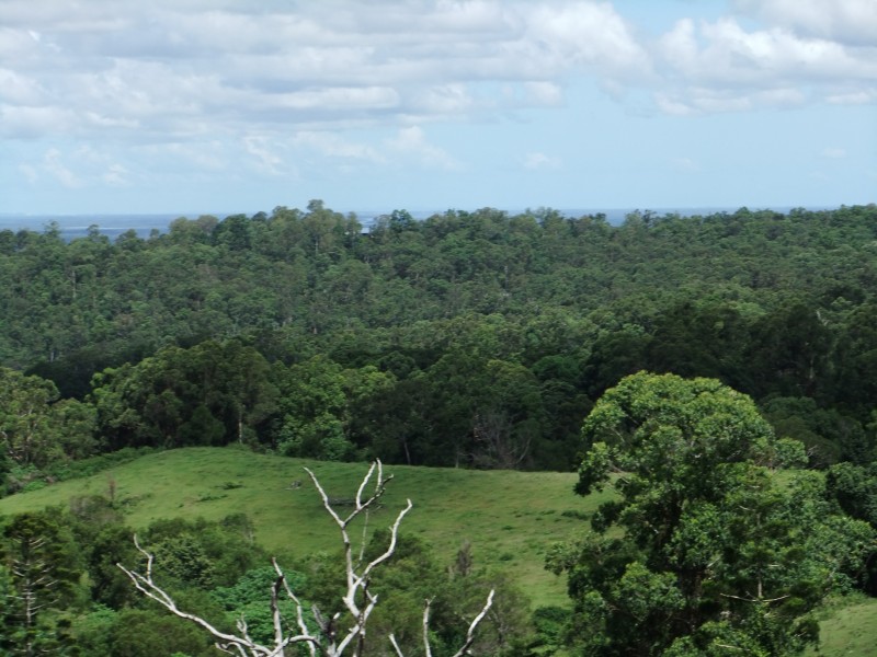 L 2 Brandenberg Road, Maleny QLD 4552