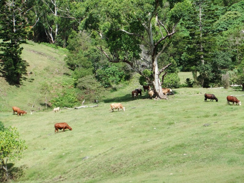 L 2 Brandenberg Road, Maleny QLD 4552