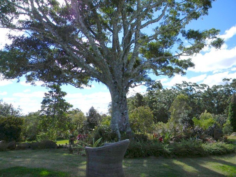 587 Delicia Road, Mapleton QLD 4560