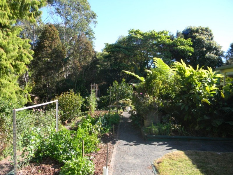 8 Wittaberg Road, Maleny QLD 4552