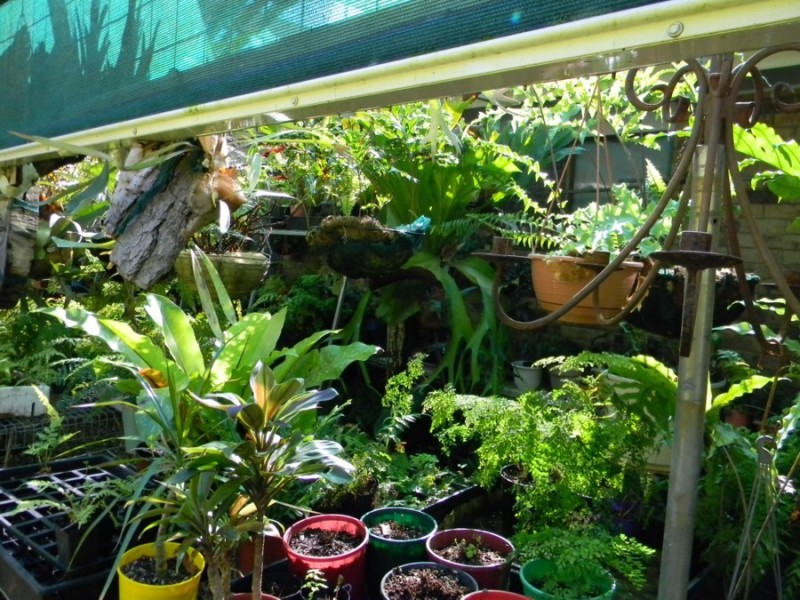 8 Wittaberg Road, Maleny QLD 4552