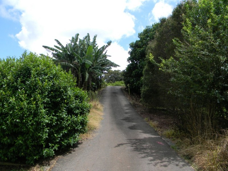 1119 Maleny Landsborough Road, Maleny QLD 4552