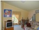 Maleny QLD 4552