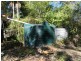 Maleny QLD 4552