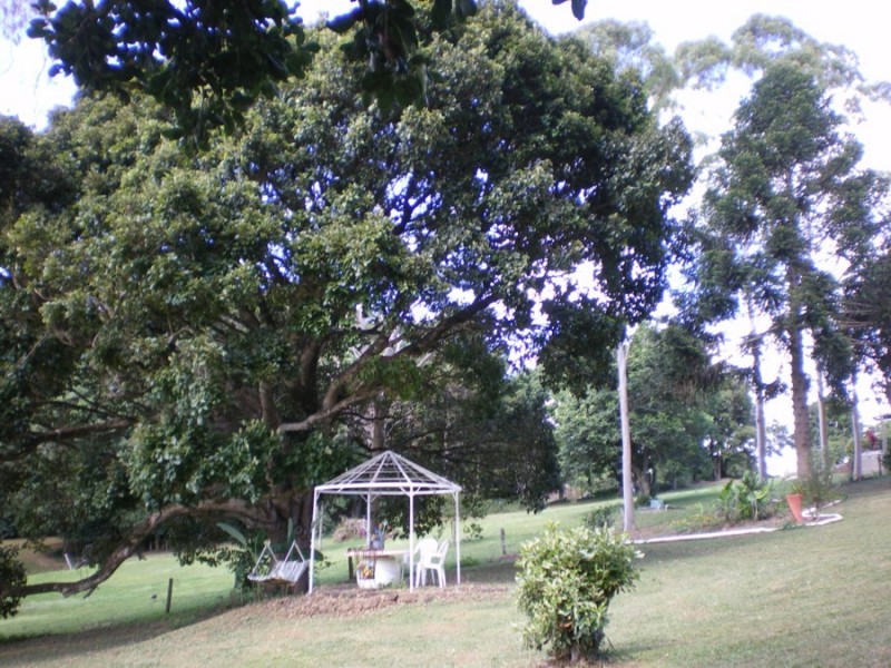 Maleny QLD 4552