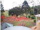Maleny QLD 4552