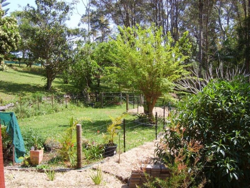Mapleton QLD 4560