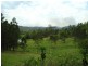 Maleny QLD 4552