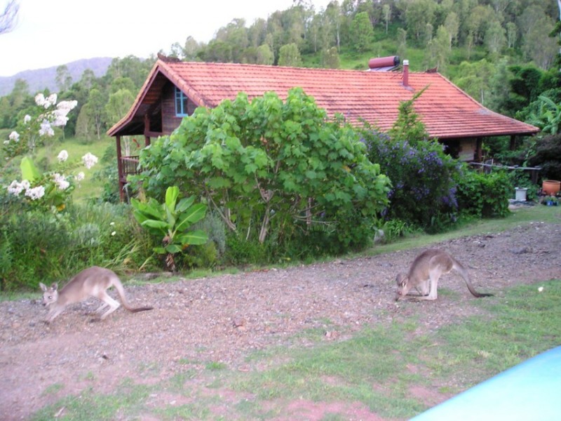 Maleny QLD 4552