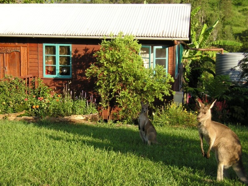Maleny QLD 4552