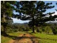 243  Booloumba Creek Road, Kenilworth QLD 4574