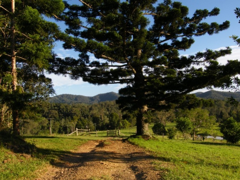 243  Booloumba Creek Road, Kenilworth QLD 4574