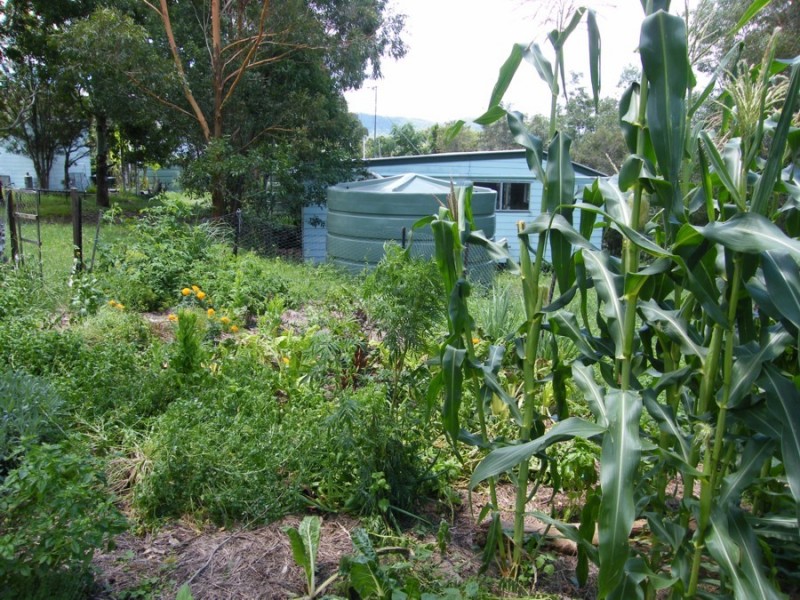 243  Booloumba Creek Road, Kenilworth QLD 4574
