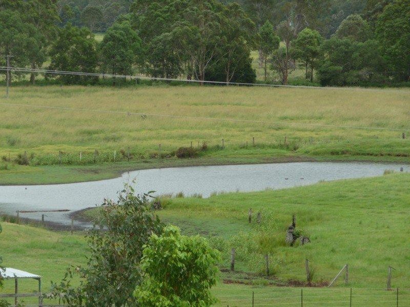 Conondale QLD 4552