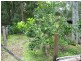 Imbil QLD 4570