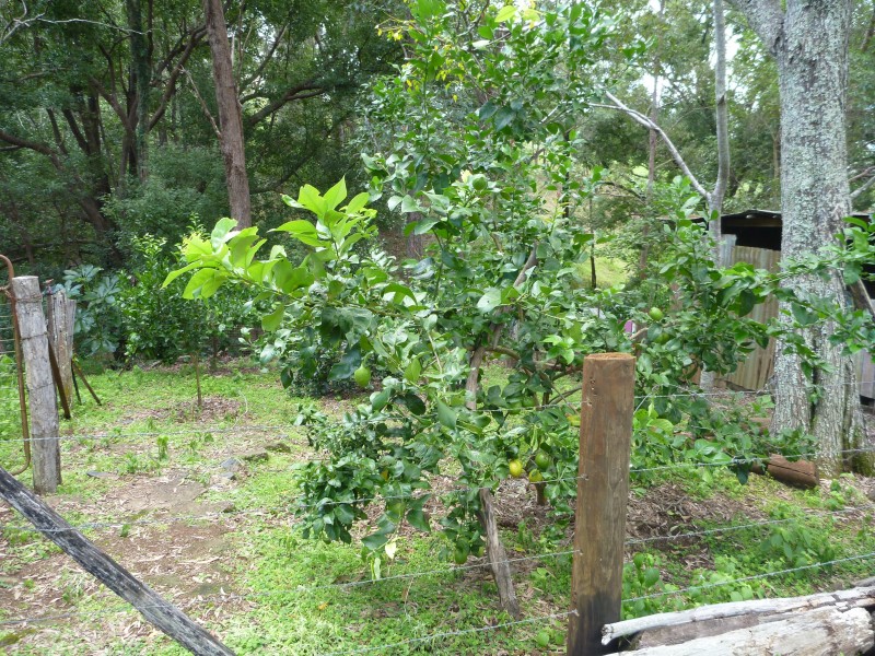 Imbil QLD 4570