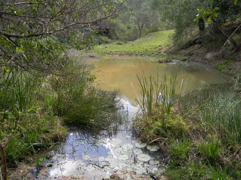 Kenilworth QLD 4574