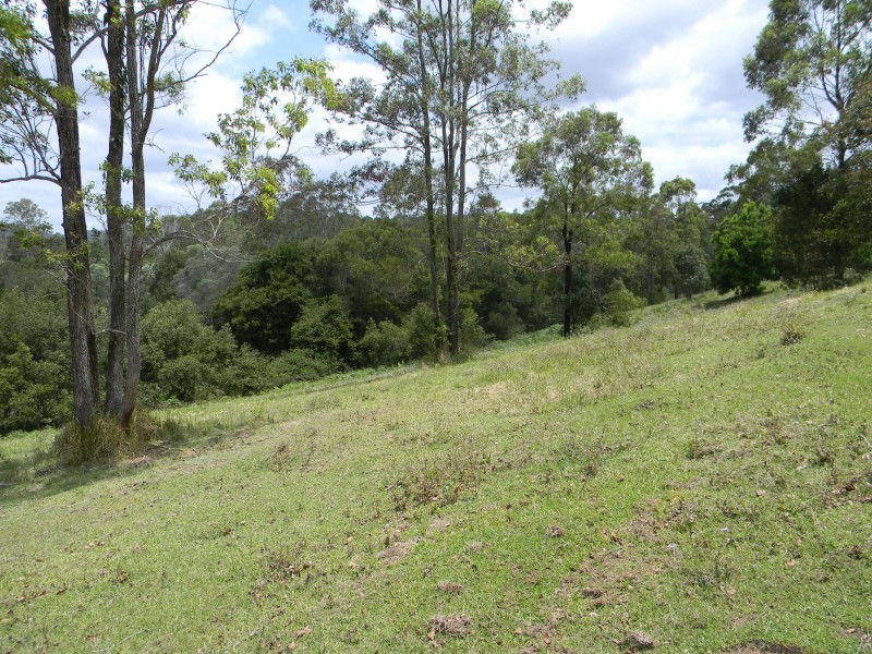 Lot 11 Coonoongibber Creek Road, Kenilworth QLD 4574