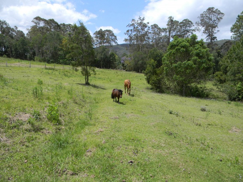 Lot 11 Coonoongibber Creek Road, Kenilworth QLD 4574