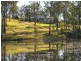Imbil QLD 4570