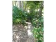 111 Yabba Road, Imbil QLD 4570