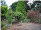 136 Cave Hill Road, Heywood VIC 3304