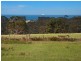 518 Princes Highway, Portland VIC 3305