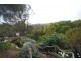 53 Riverview Terrace, Dartmoor VIC 3304